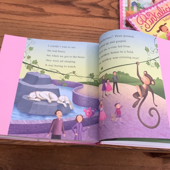 Pinkalicious book bundle - Picture 6 of 14